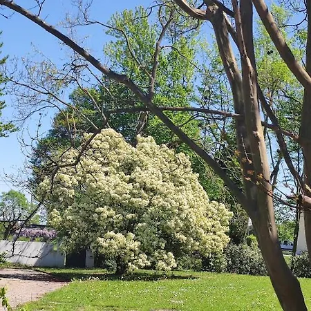 Alojamento de Acomodação e Pequeno-almoço Elisa Motta di Livenza