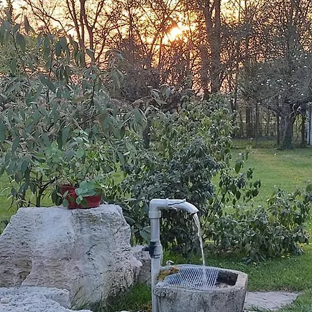 Oda ve Kahvaltı Elisa