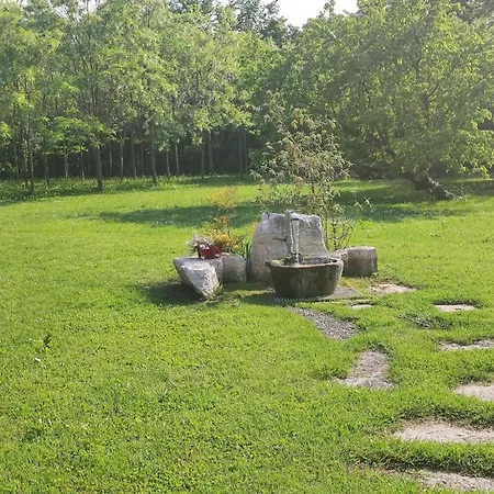 Oda ve Kahvaltı Elisa