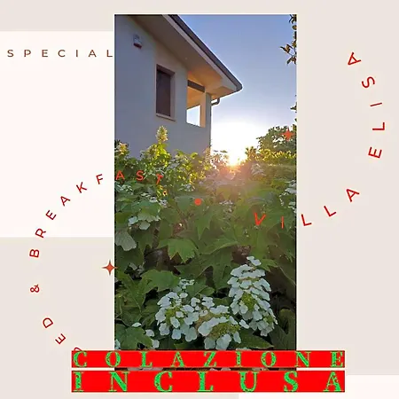 Elisa 3*