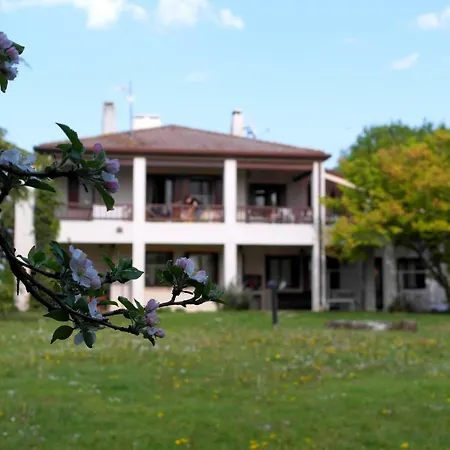 Elisa 3* موتا دي ليفينزا