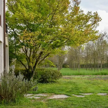 Bed & Breakfast Elisa